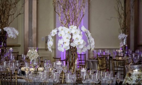 ALLESTIMENTO (R) 7 ALLESTIMENTO (R) 7